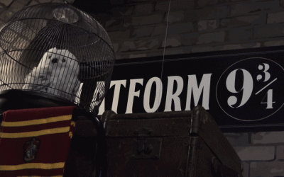 Harry Potter