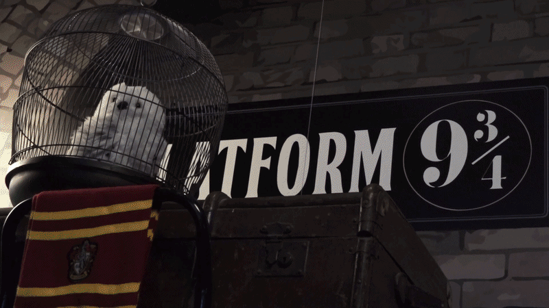 Harry Potter